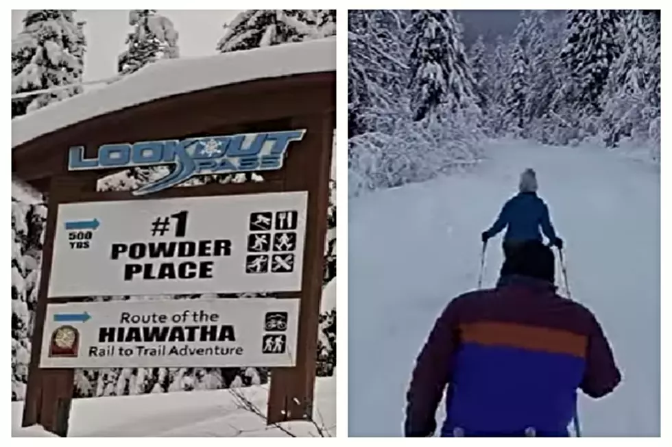 Snowshoe From Idaho Into Montana On Gorgeous, Tree-Lined Trail