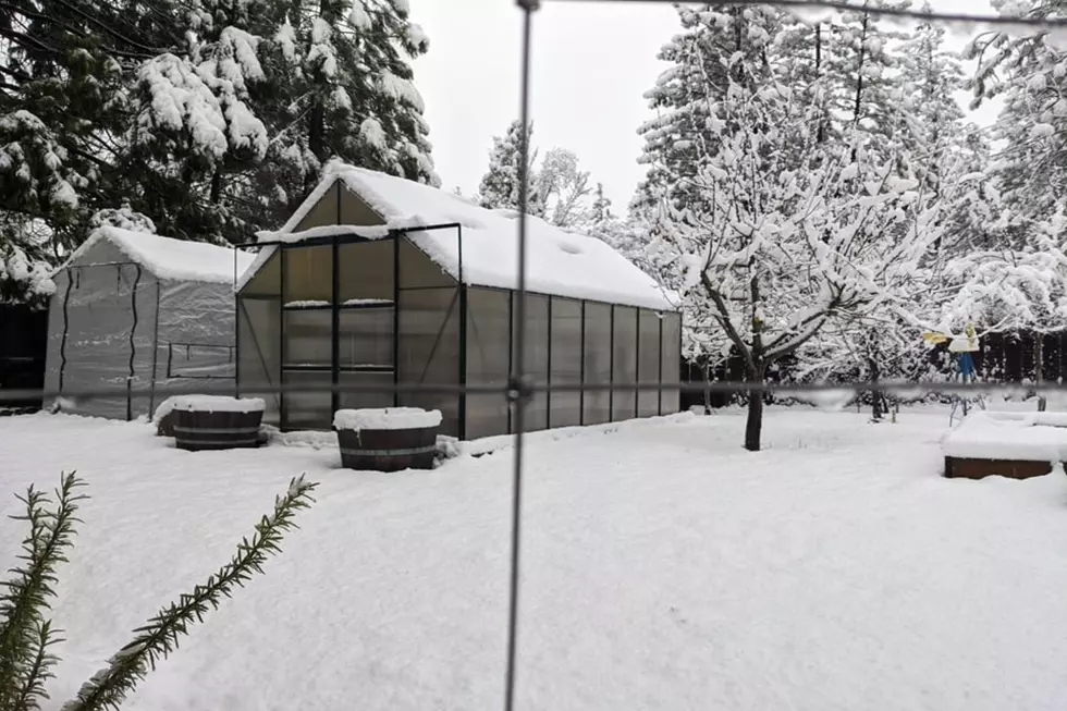 Twin Falls ID Forecast: Teen Temperatures, Heavy Snow On Its Way